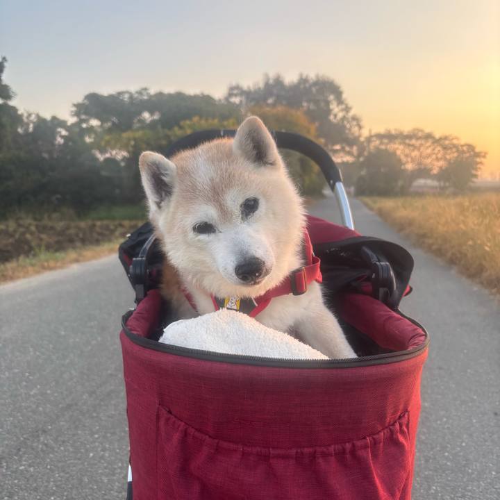 C901e733 3639 4e00 95c8 e6910b312ec4 1763177033723