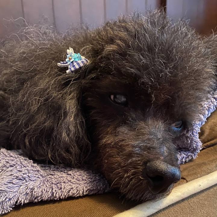 C901ef1d 3233 48ad 95c5 7619c676d5eb 1596608846253