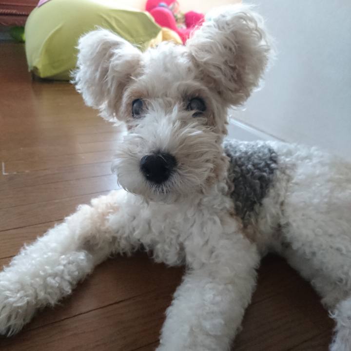 C902026b dc26 4c2b bc79 02756afd2769 1593941747635