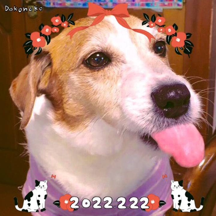 C90208fe 1816 4f4b 9895 5d79605e8144 1645512677919