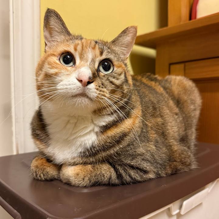 C90210bb 11d1 41f6 9aac 58ade46e535b 1774090074939