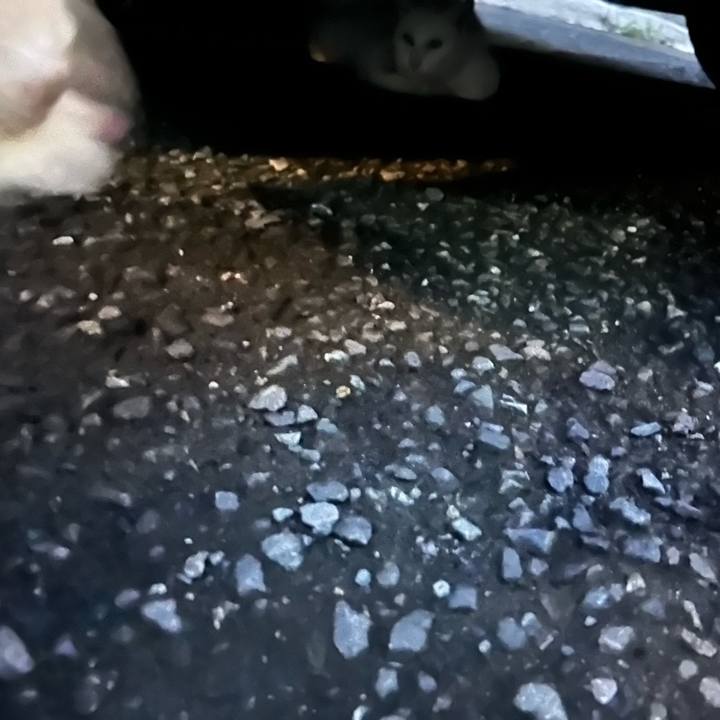 C9022a0c 234f 4446 8171 ec8ff7887668 1661854755961