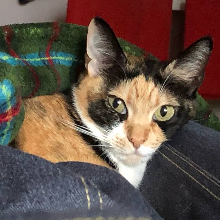 C9025c02 3e49 4d58 82a7 ccd9b7532b97 1545260673558