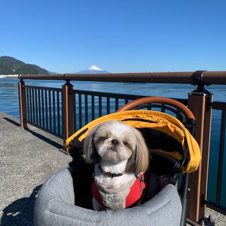 C9026e57 56e0 4fa2 9814 389305fa1e7e 1700480084785