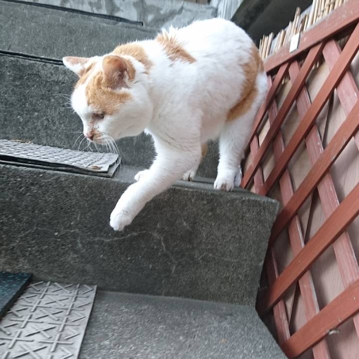 C9028589 7c41 4e96 94e7 632539979203 1566168645551