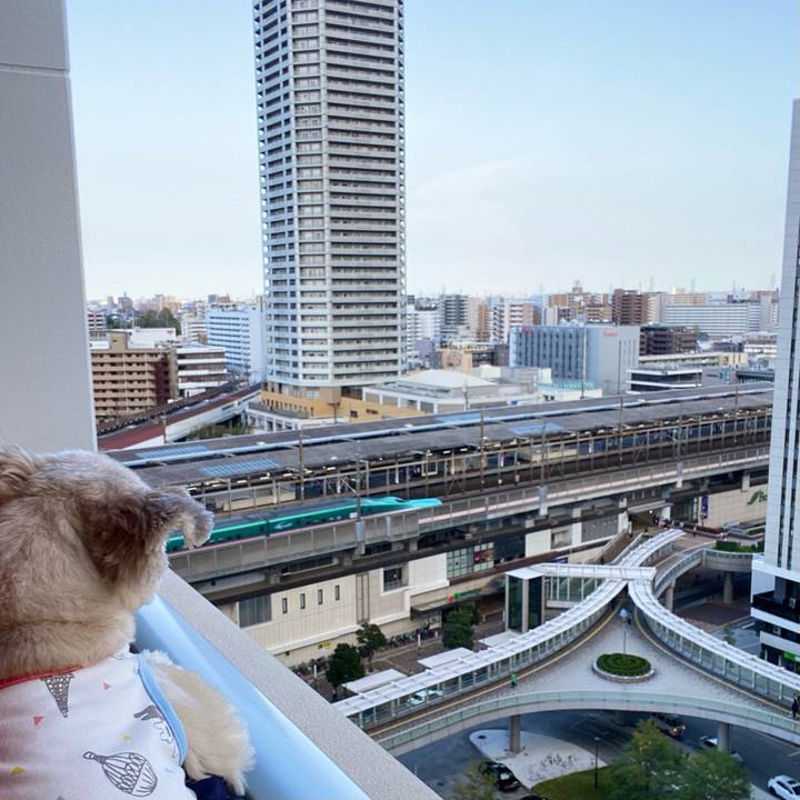 C9028942 5991 4206 91f0 5082b296a70f 1744498278580