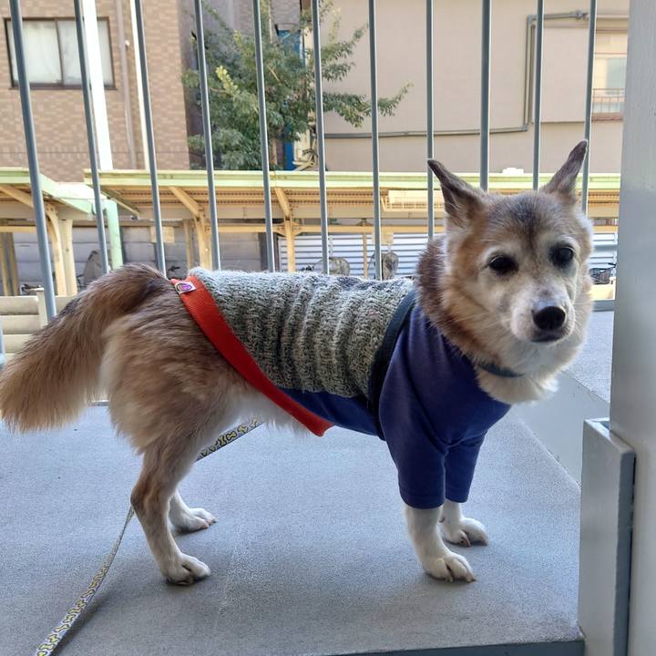 C9028b55 77a6 49da ae5e dde9aa885f7f 1739506010571