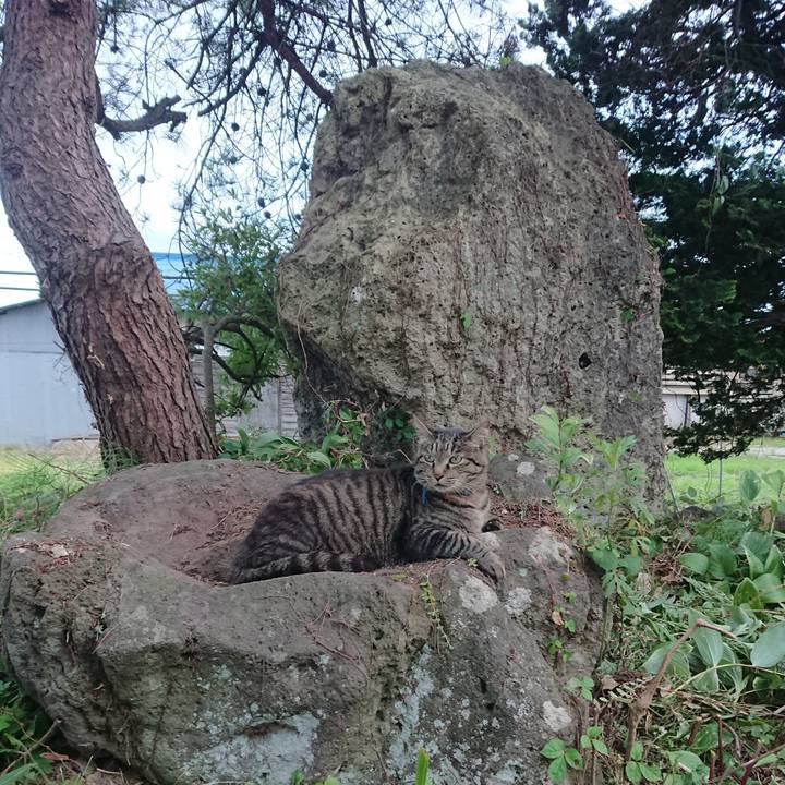 C90294bb 8743 45a2 b104 b2a5f78dffbb 1657792222575