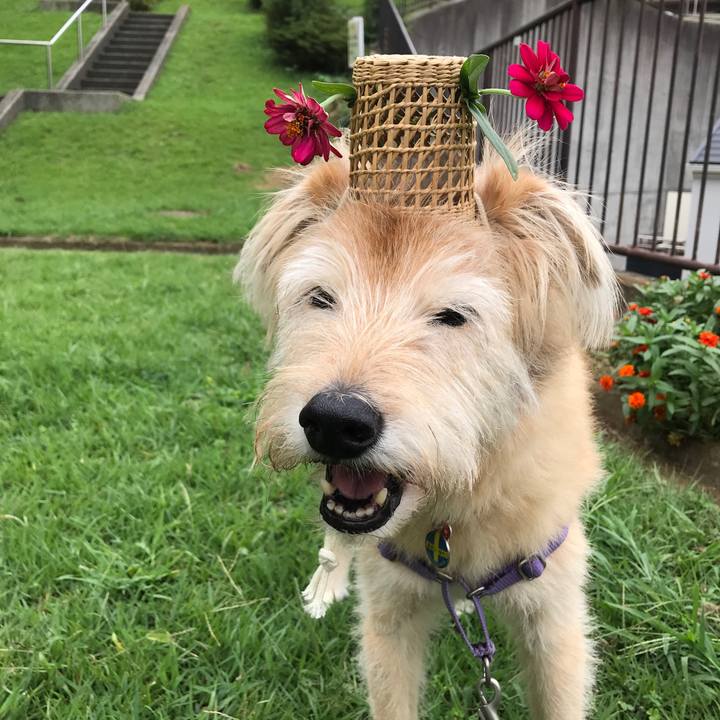 C902d96d 5c42 460a 8356 61b111356c35 1600233493152