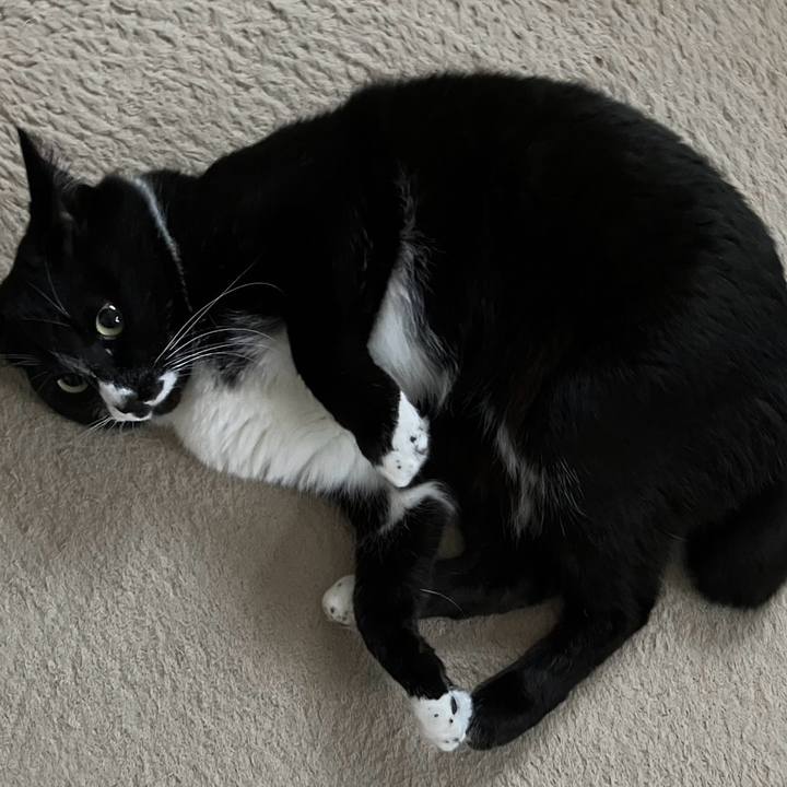 C902e402 1945 4a56 8be3 2d0b1f5cde6f 1716454040741