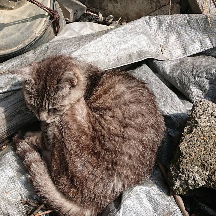 C902ebb0 1cdb 488a a2aa e5d6411036dd 1570240193122