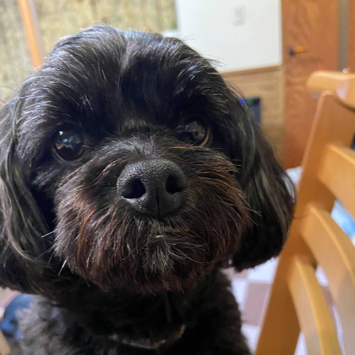 C902f115 0c5f 471d 9528 f8911801e94a 1655079337693