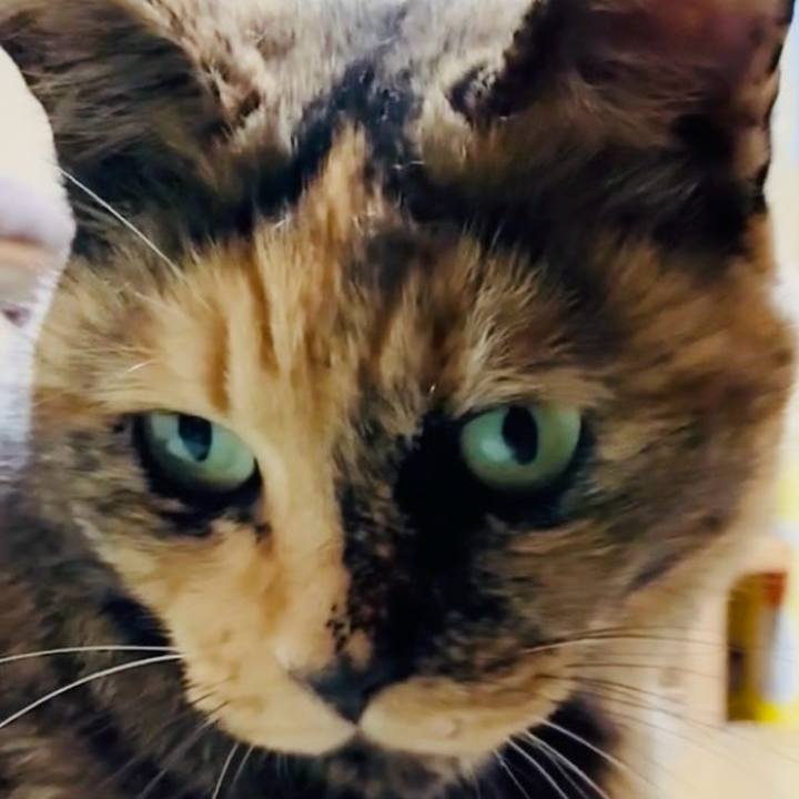 C9030f5c bb24 4f68 b83e d61a840e57b0 1757019223134