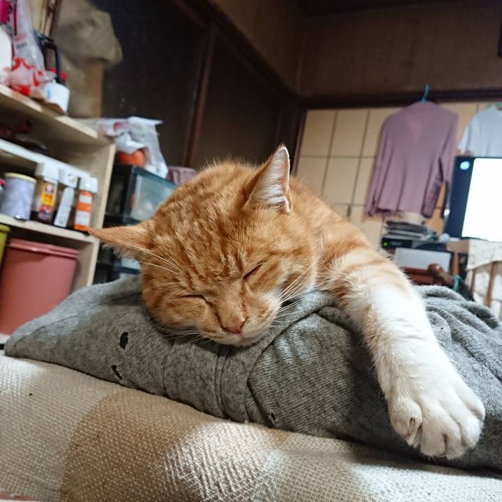 C9032f89 db64 4e61 a8c4 22e49c02efa0 1577694244443