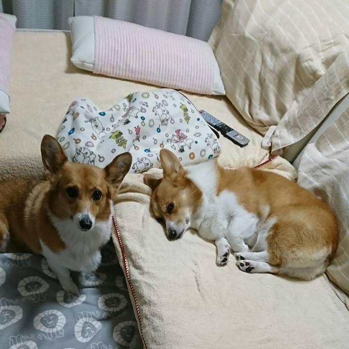 C9033868 93fb 4718 87f6 24bb71ae045d 1541740366539