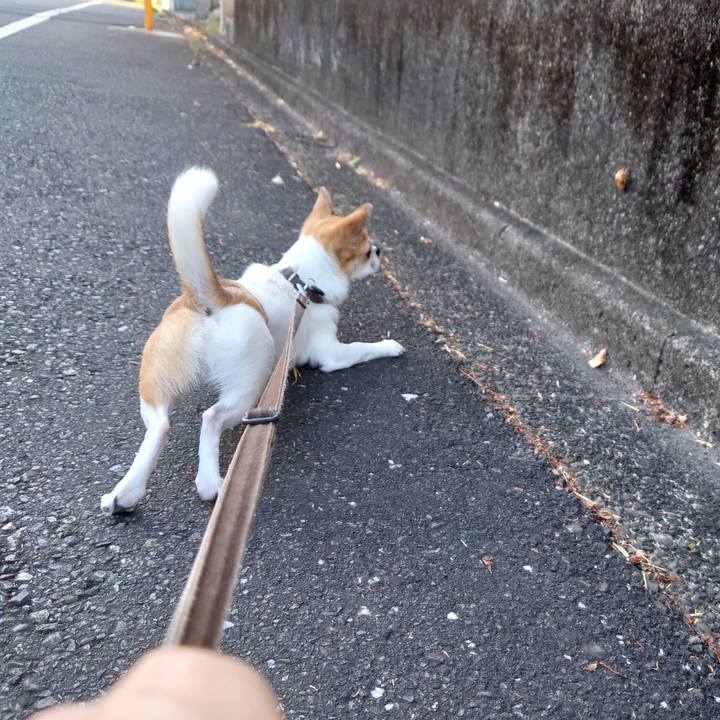 C9035e02 7830 482c 96d0 2e04e9ab95e1 1691189553701