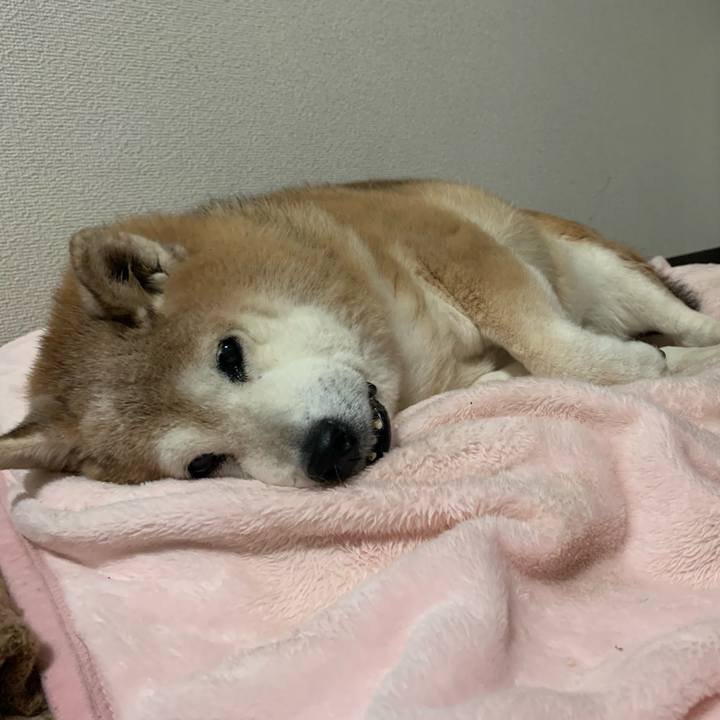 C9037b74 f602 4577 ba32 b24748762a69 1643290892265