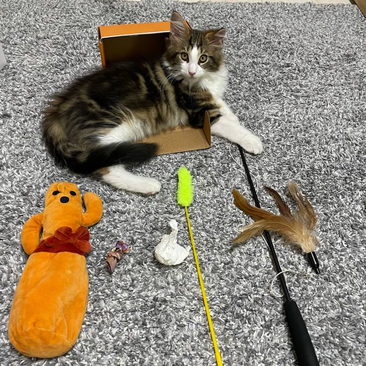 C903d0b4 171c 4da7 8d1a 3872b21bfb7c 1633252524252