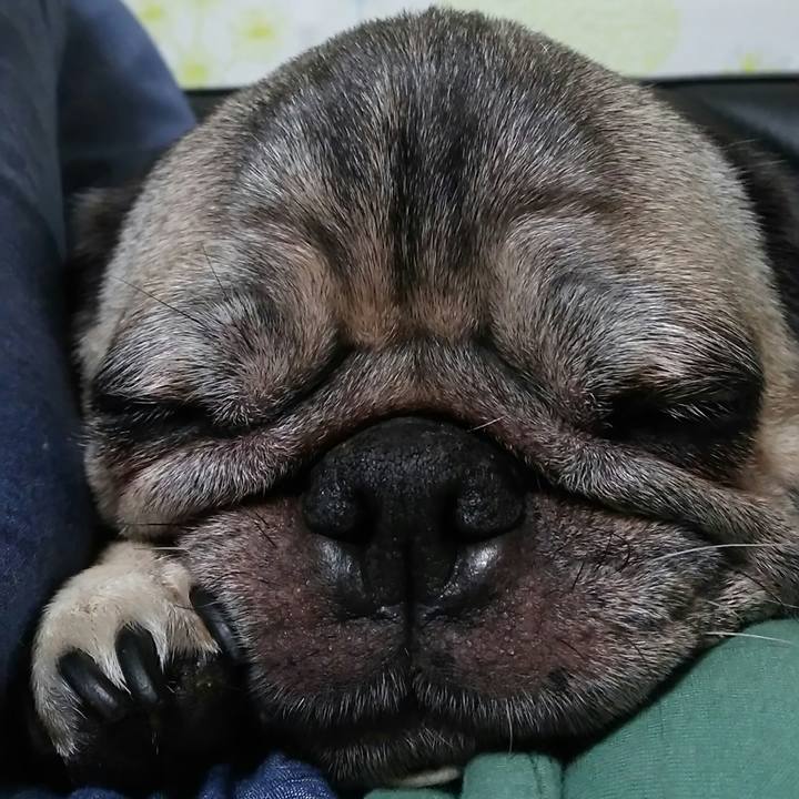 C903d763 f570 4c3e bd88 1980d49cb720 1530017193779