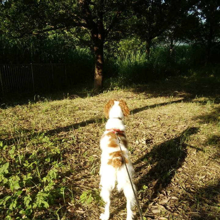 C9040e06 cfc6 4659 b395 9b55b6a26624 1528537552737