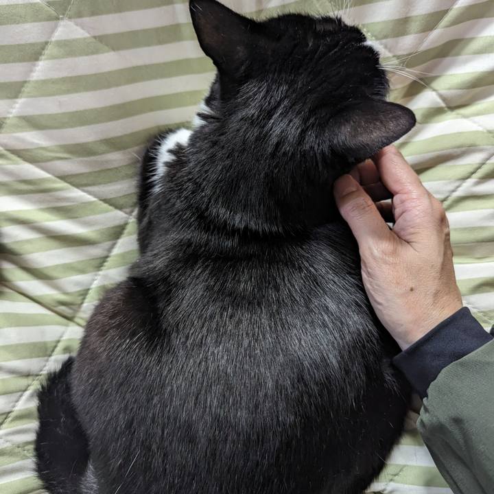 C90489a1 26f7 4383 988e 2b8d9bcb9a05 1702524442066