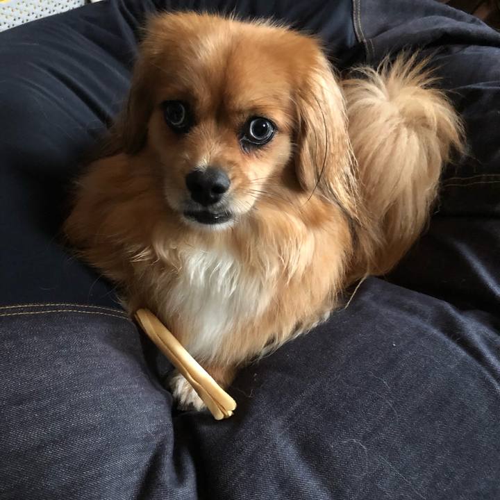 C90497c5 4fd2 4c2e b2e8 9175a0f745e7 1563488908017