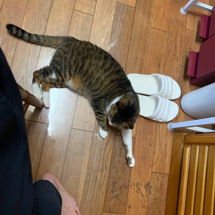 C9049f5a e4b8 428c bc40 ca3113163a1b 1654860294313