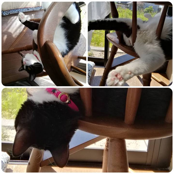 C904c5f1 6fd9 4fe8 8293 0193b519c892 1557211023535