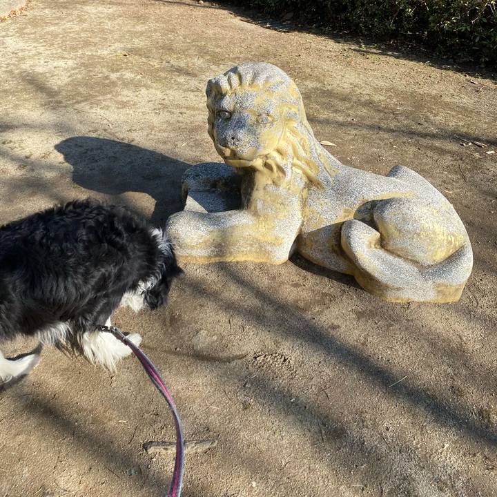 C9052e74 6aed 49fa 8582 2b113dc39aad 1644821146704