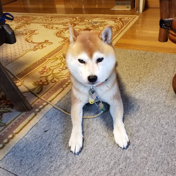 C905719f f4c8 4384 ab44 470a374881ef 1572132995981