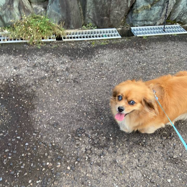 C90574ed f6d3 4e0c b65e f2c2e08e4bd3 1599514233321