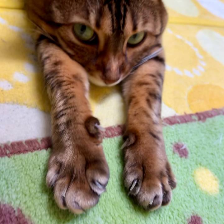 C90585d3 ada1 487b b792 2d51134550f9 1670814645523