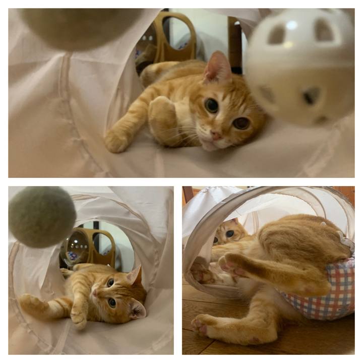 C9058fe7 9fc6 4060 aa09 fa9c8b941baa 1664311115480