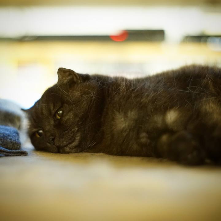 C9059fbc ca66 489e b0df 43068aeb661d 1621787917751