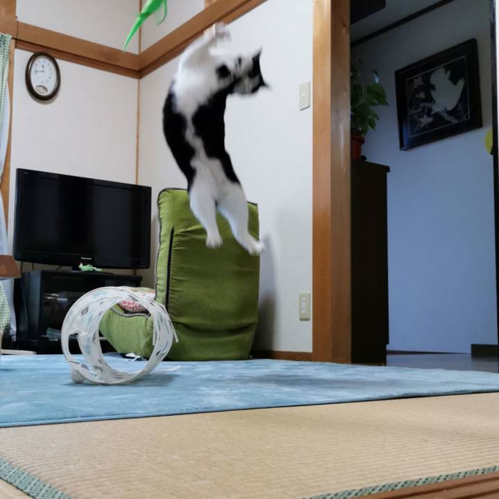 C905cf34 8880 4117 8143 c06a2b5ac5e9 1637811464008