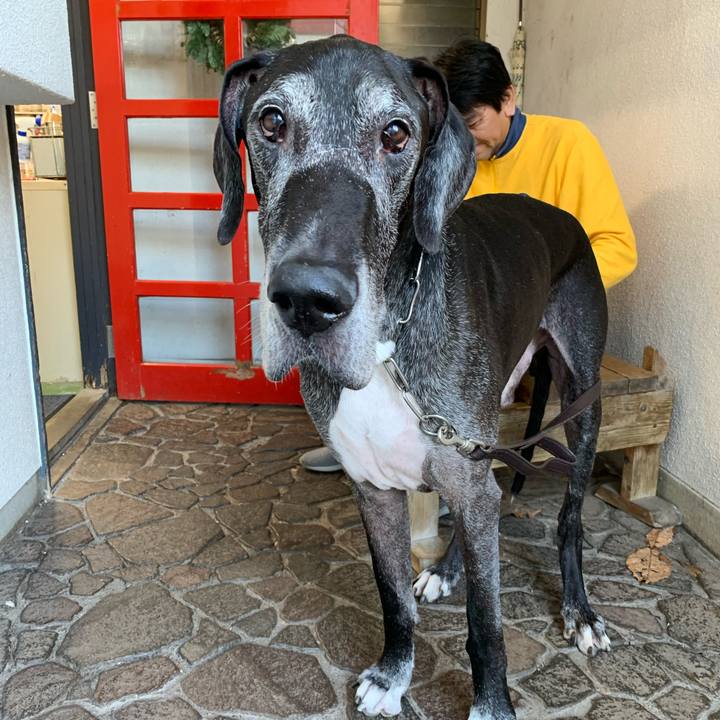 C905dab0 6994 4f3e b8e9 302b72e152b6 1605938195498