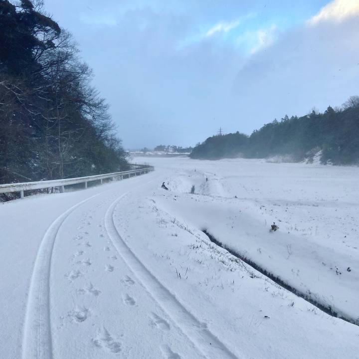 C905ea40 7142 4e09 8515 4b80b92d378d 1640564997572