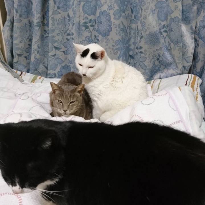 C905fd8f f37f 46e2 9042 190c95f137eb 1642681839911