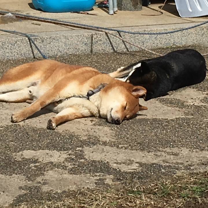 C90617ad 020e 414d 8e8f 33cf0759817d 1520074857648