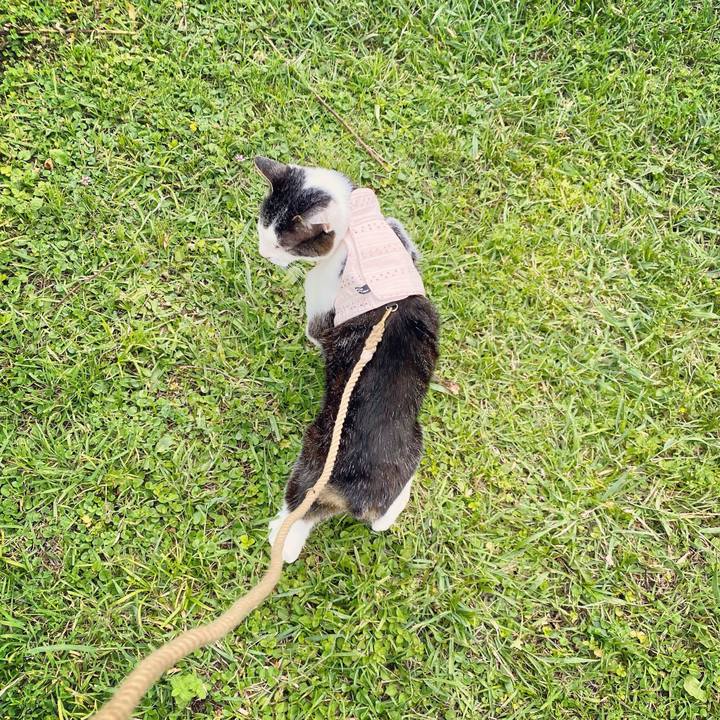 C9062f20 8b69 4e56 b4ad 0605dbc8b9a6 1622348967759