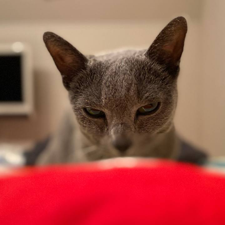 C9069b26 6dee 446b afc2 6614bbf612e2 1607316019521