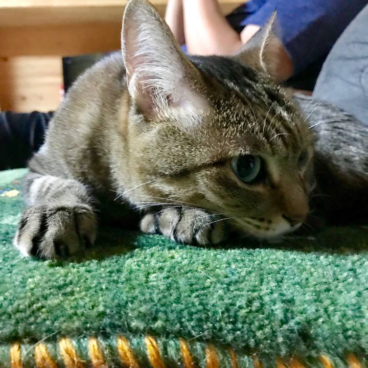 C906afd7 813c 48f9 94ec 1b7e96342e3e 1558099794002