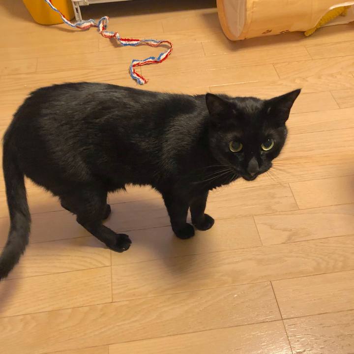 C906bbb0 2162 4b08 8271 e24473ba58ad 1553691667098