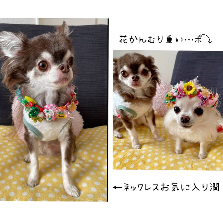 C9074a7d 8eaa 4ba6 bd2c 8a4f1b8ea752 1636852410362