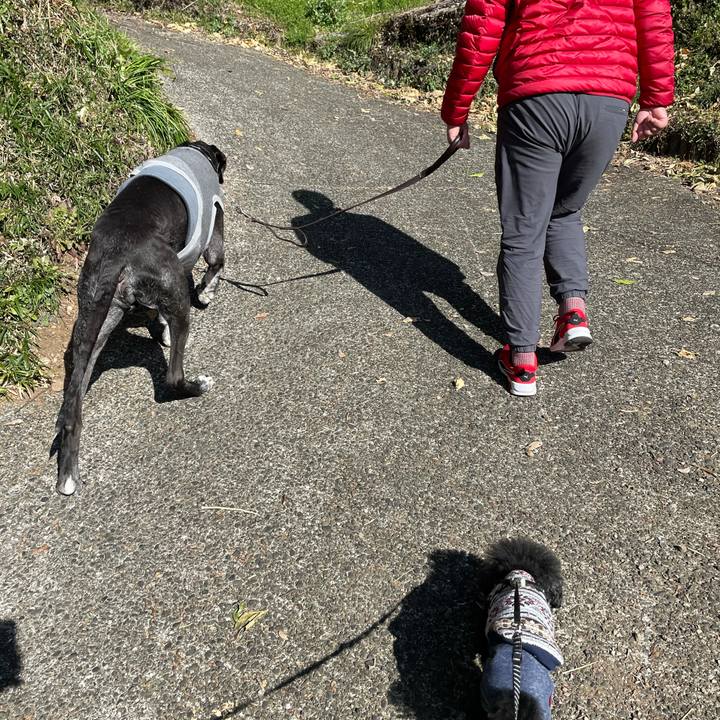 C9076c18 1cab 45b4 9eb7 5b5e563f7369 1614480060606