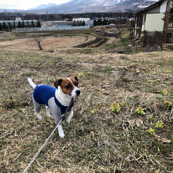 C90788d7 482f 42a3 b077 4c45a9c7f3cf 1555064241974