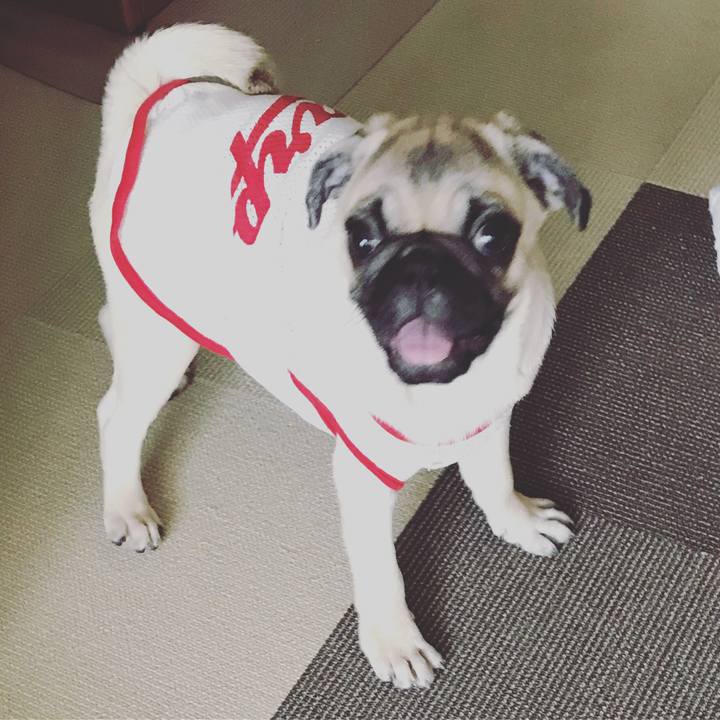 C9079f5a ac92 468c a536 e8304572d6d6 1537774111839