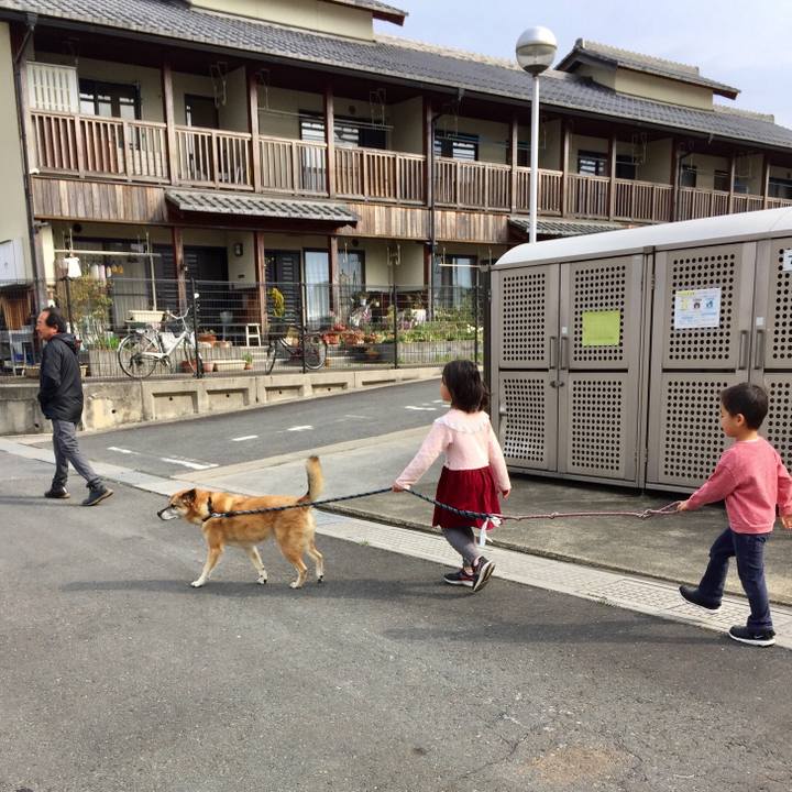 C907a051 2bca 4420 b6d8 f12a8c7145ac 1555199573123