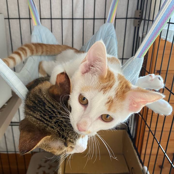 C907b252 063d 4c56 9dc7 3f7c126ac0ce 1757388228505