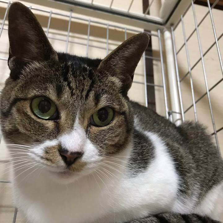 C907c682 ef0c 4384 90f9 6583ed38eb24 1512524535296